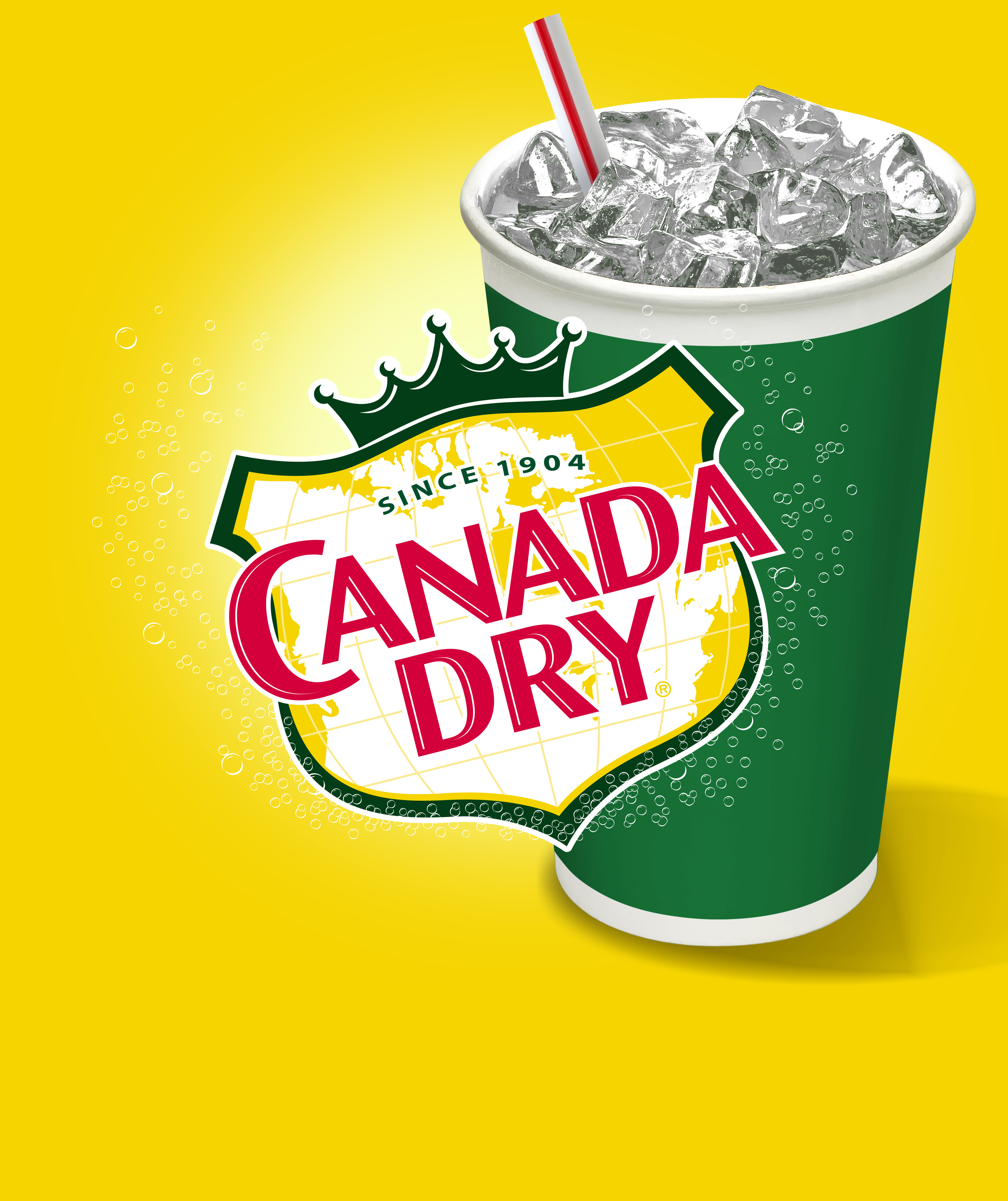 Flavor Smart Canada Dry Tonic Water